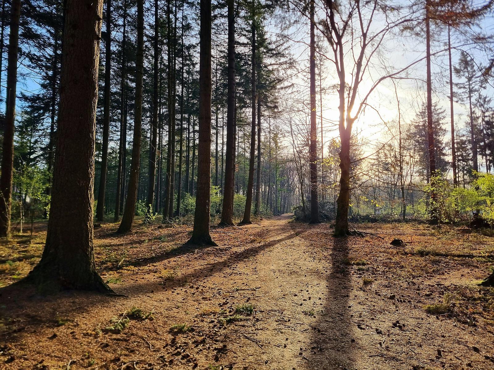 Herfstvakantie