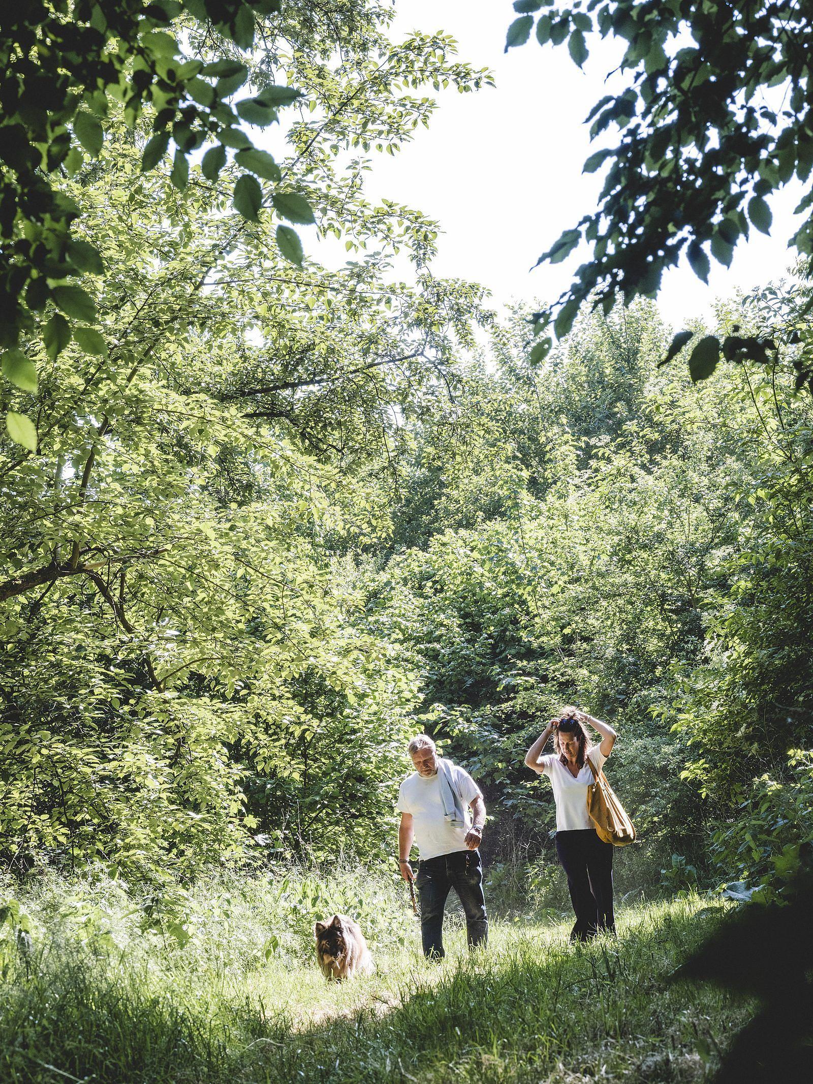 Wandelroutes Horsterwold