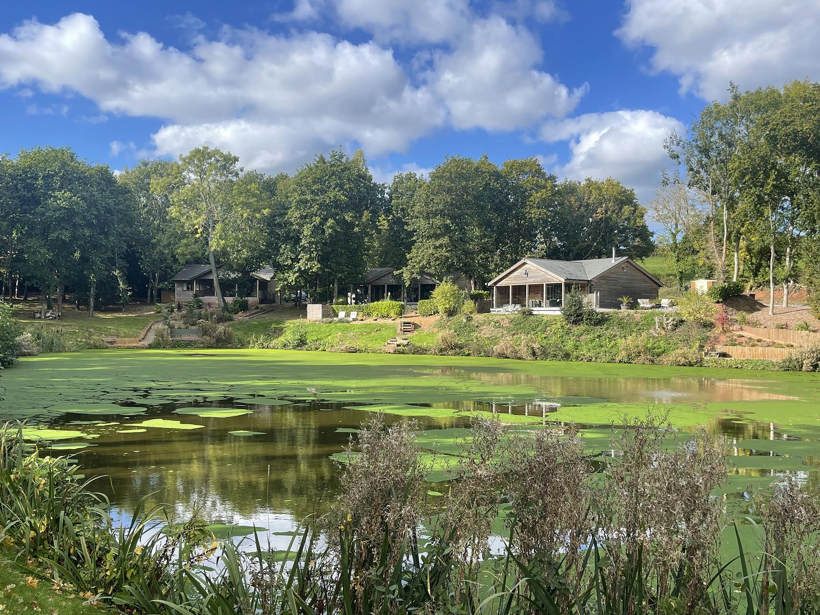 South view landscape
