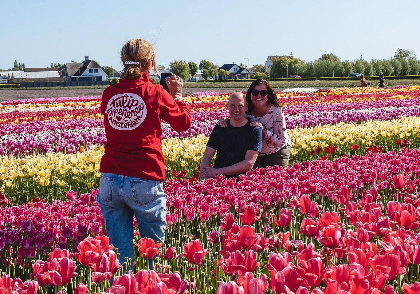 tulip experience