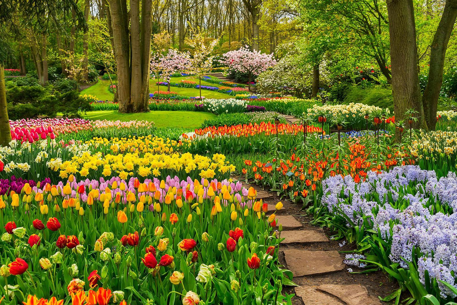 keukenhof