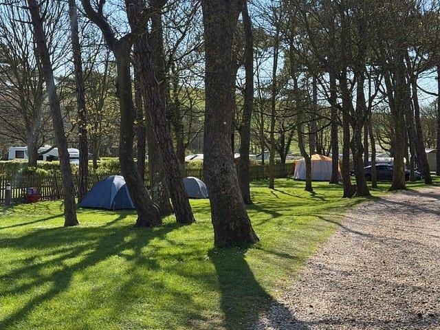 Rookery Camping