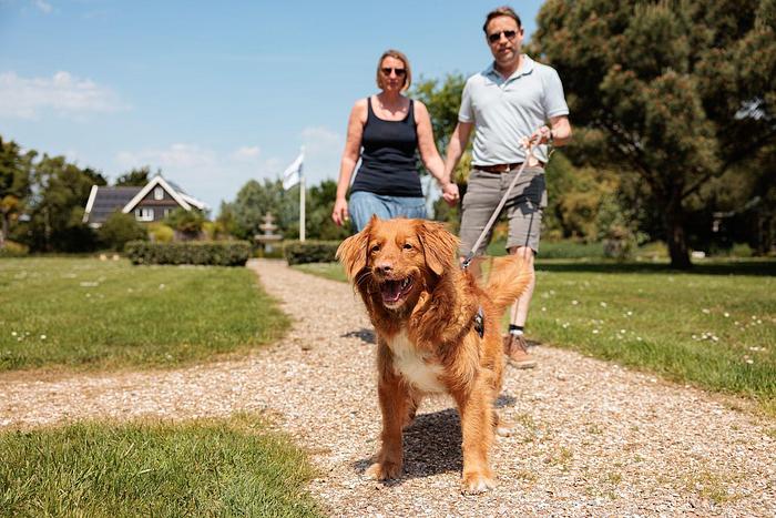Vakantiepark Fort den Haak in Vrouwenpolder — foto 2