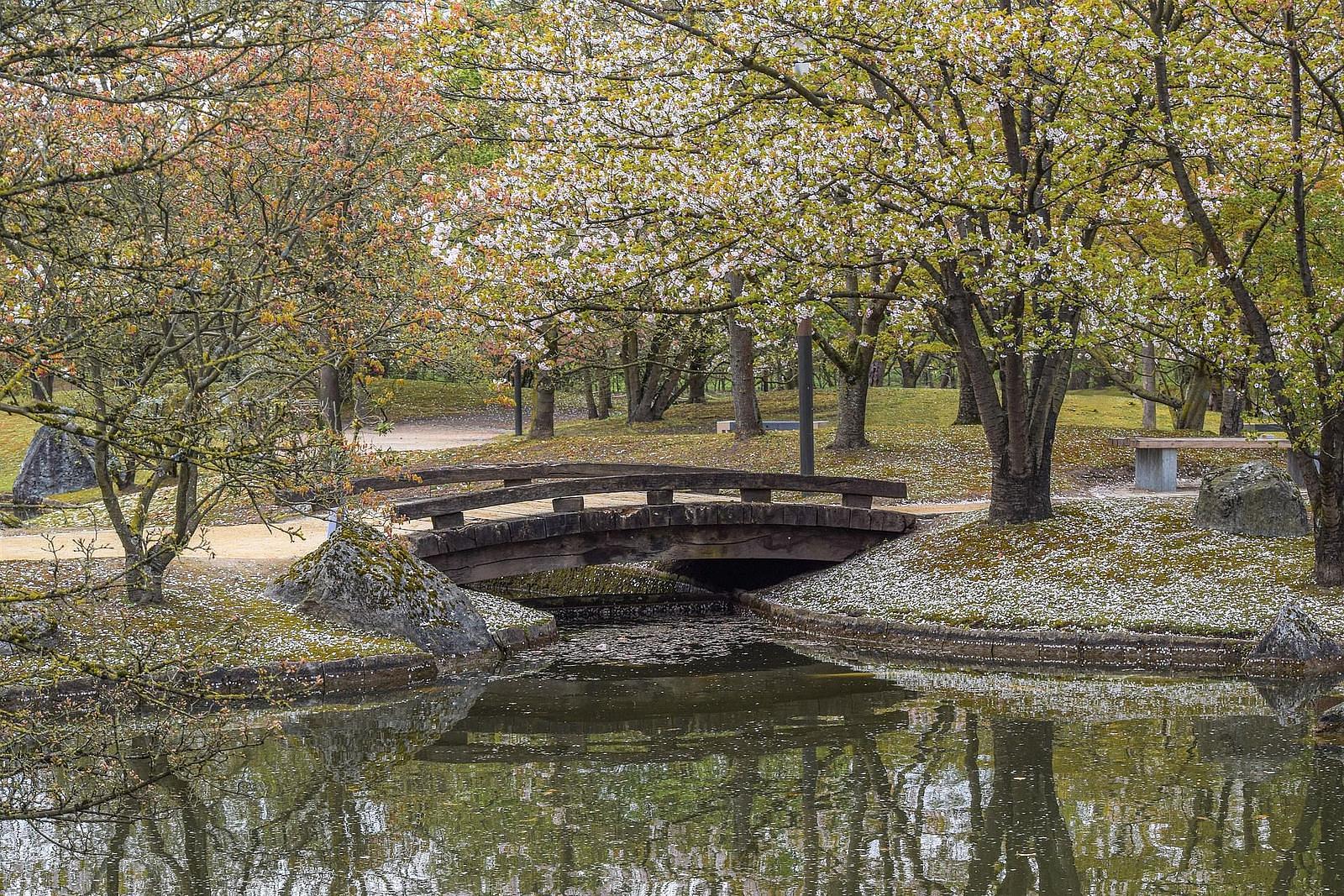 japanse tuin hasselt