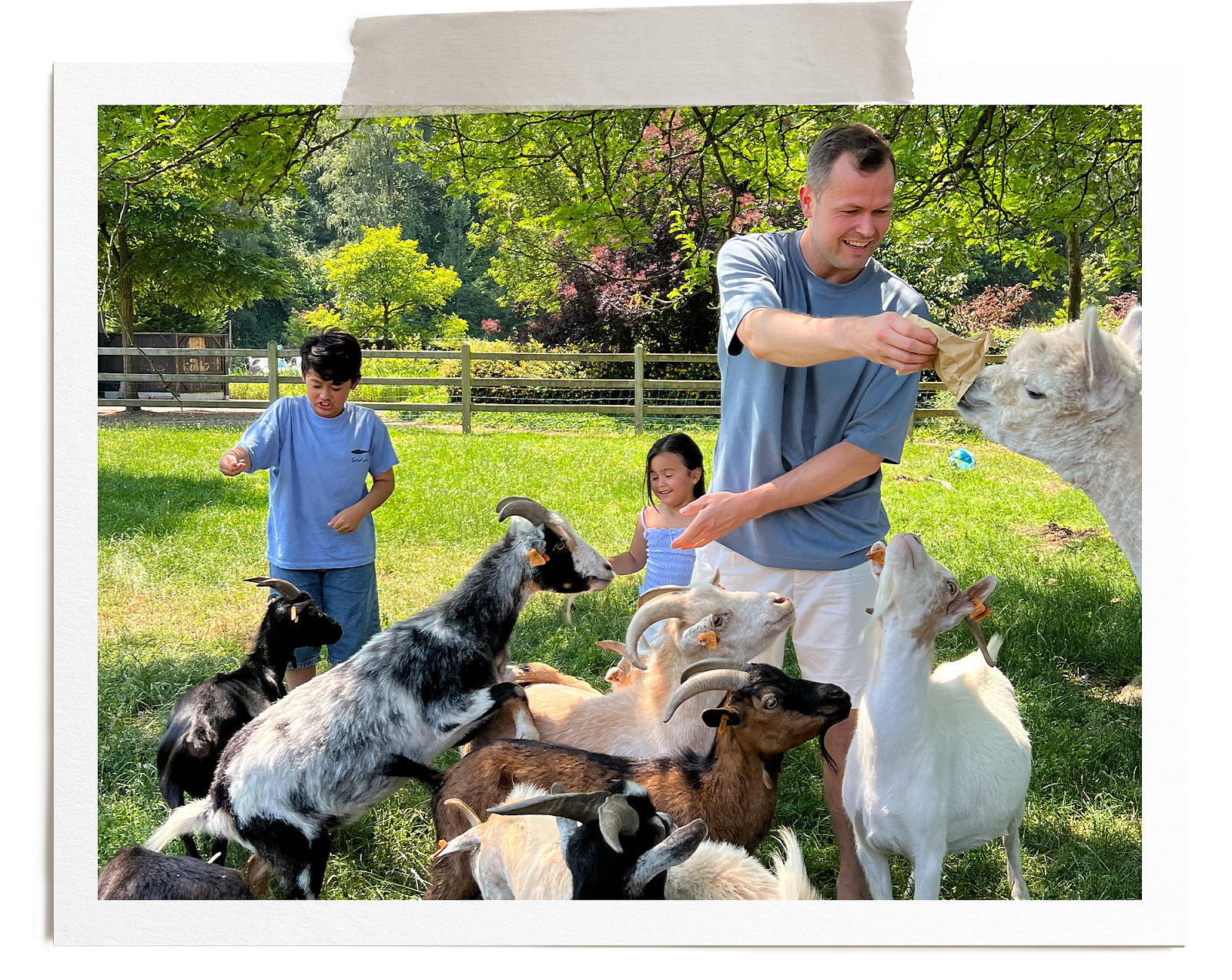 kinderboerderij