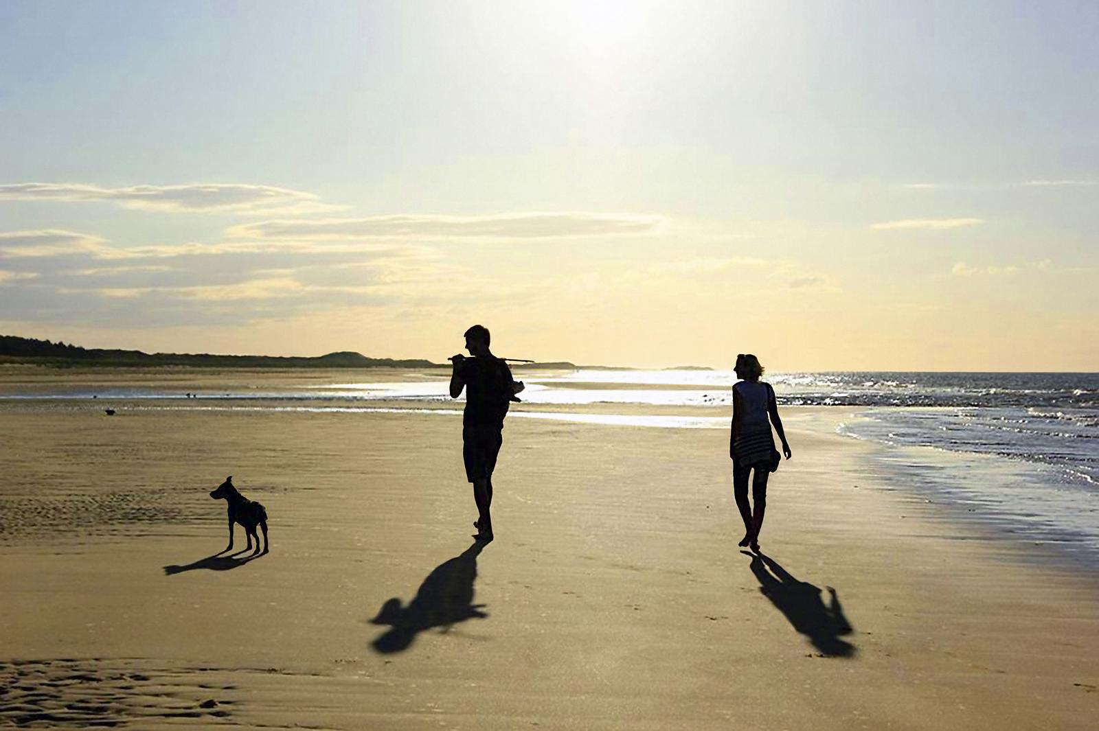 couple walking on beach Couple walking on beach with dog
