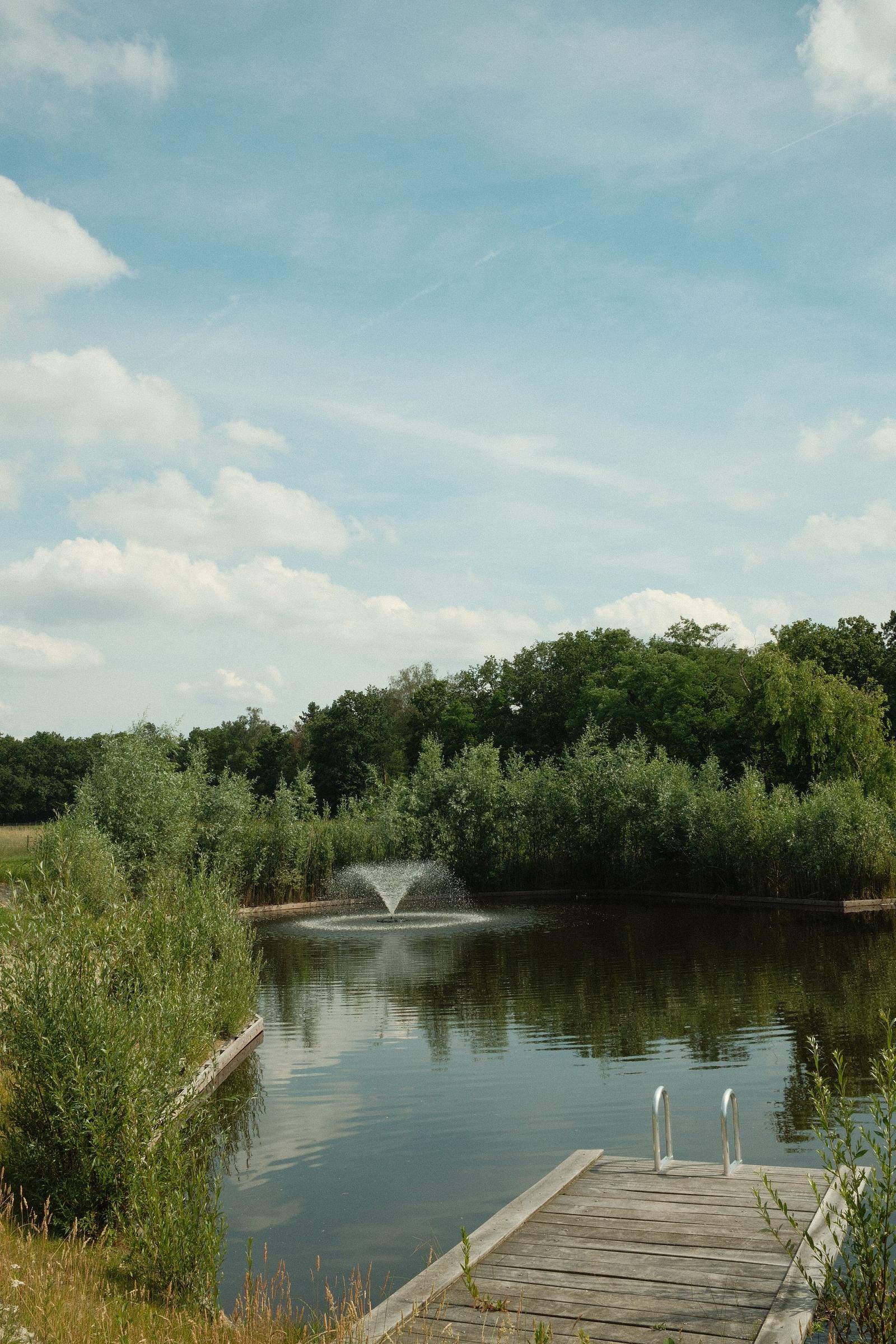 zwemvijver
