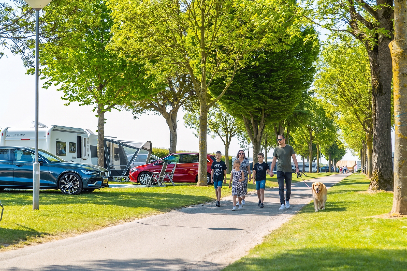 Vakantiepark in Zuid-Limburg met hond
