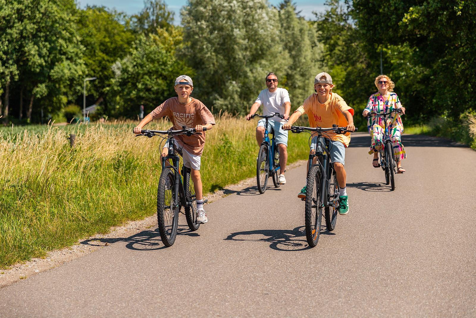 Bike rental