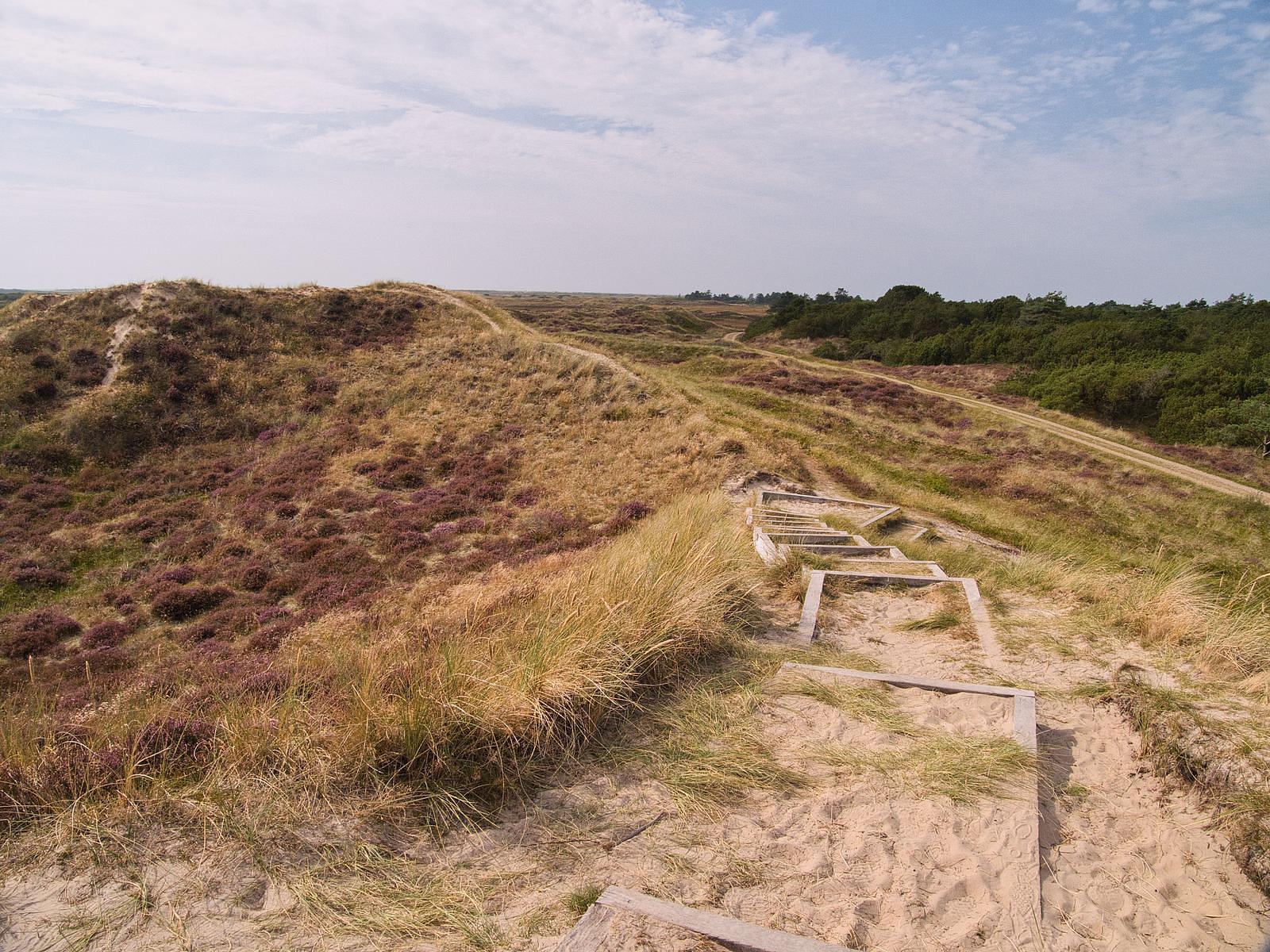 Vakantiepark Sallandse Heuvelrug