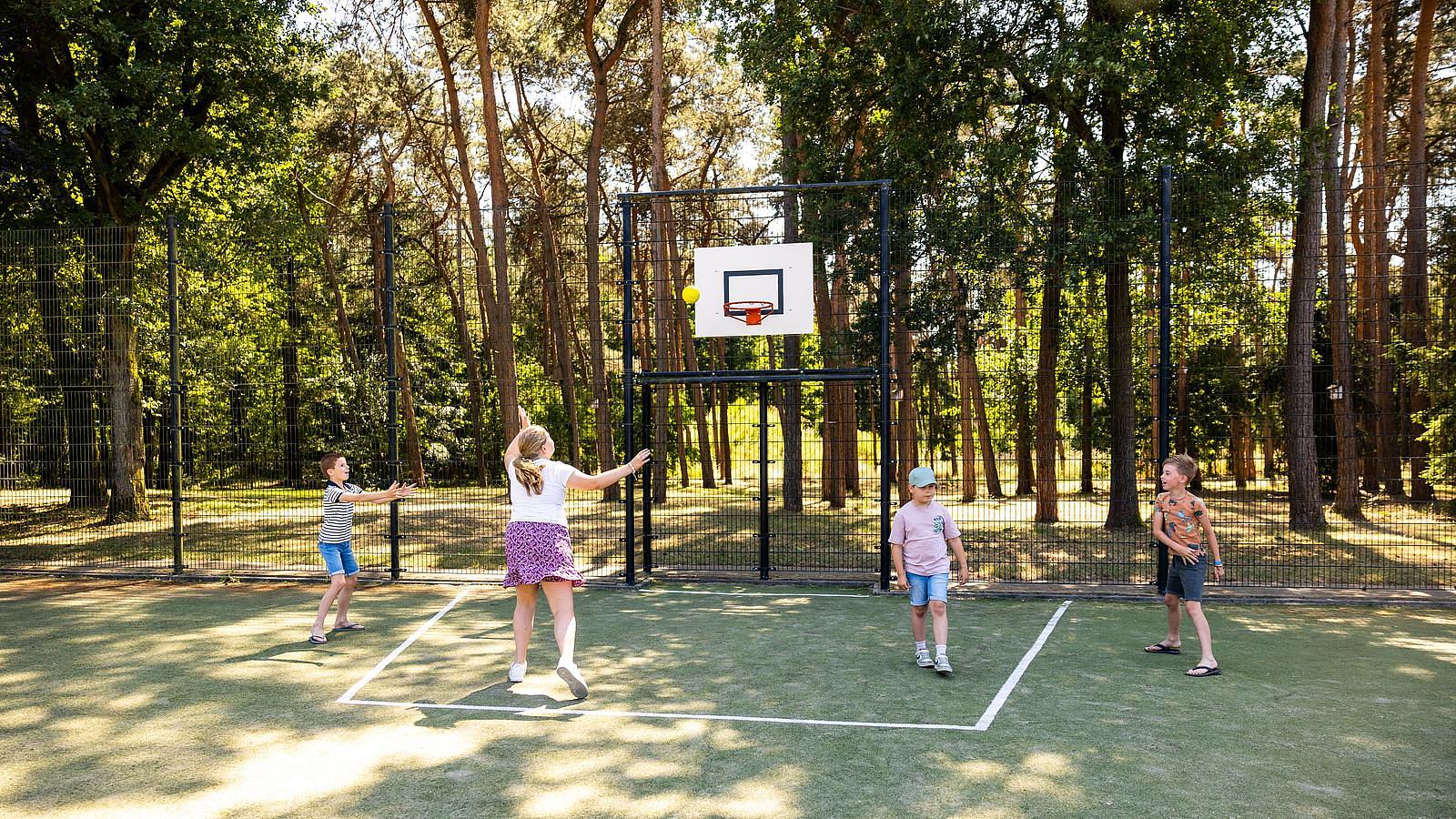 sportveld