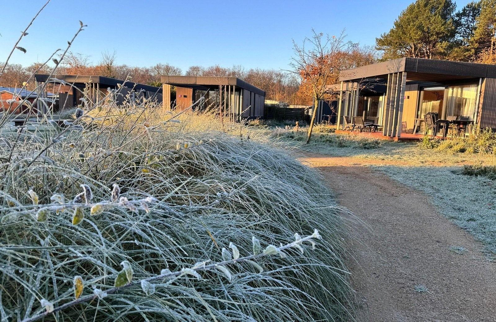 Winter op de Nollen