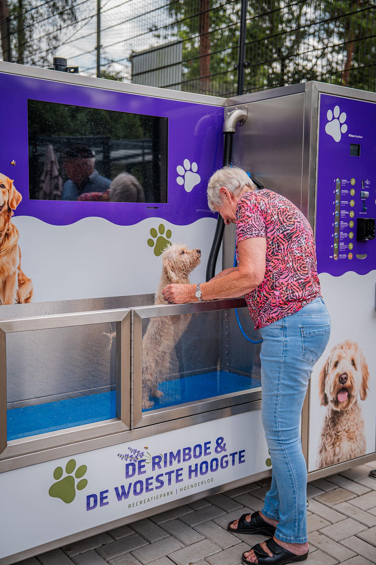 Dogwash
