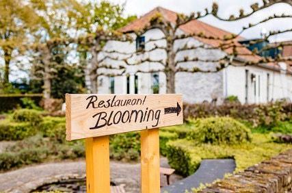 Restaurant Blooming