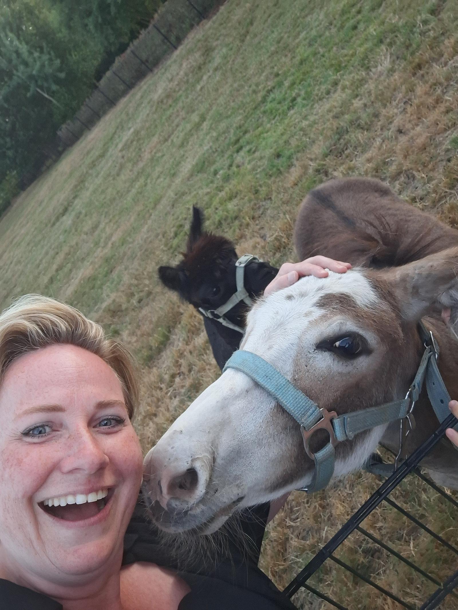 selfie met ezel