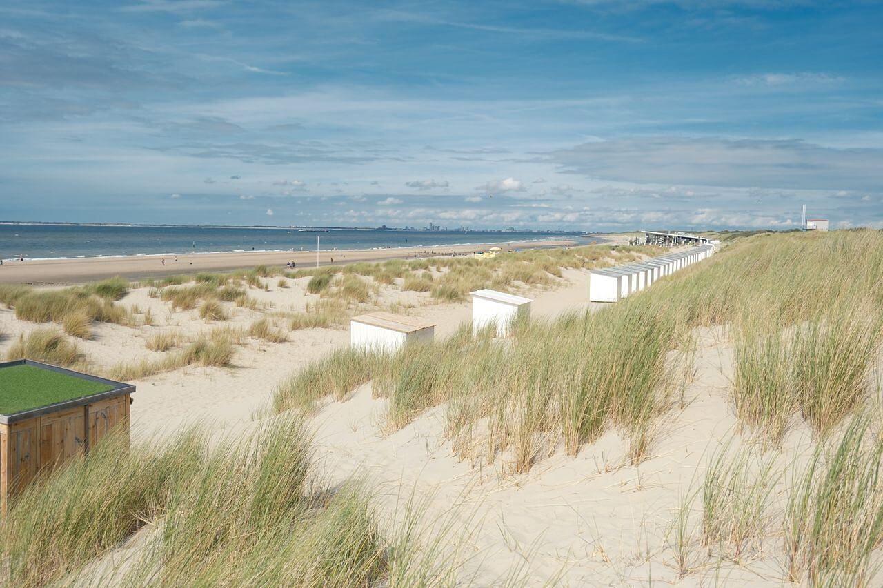 duinen bij zandvoort