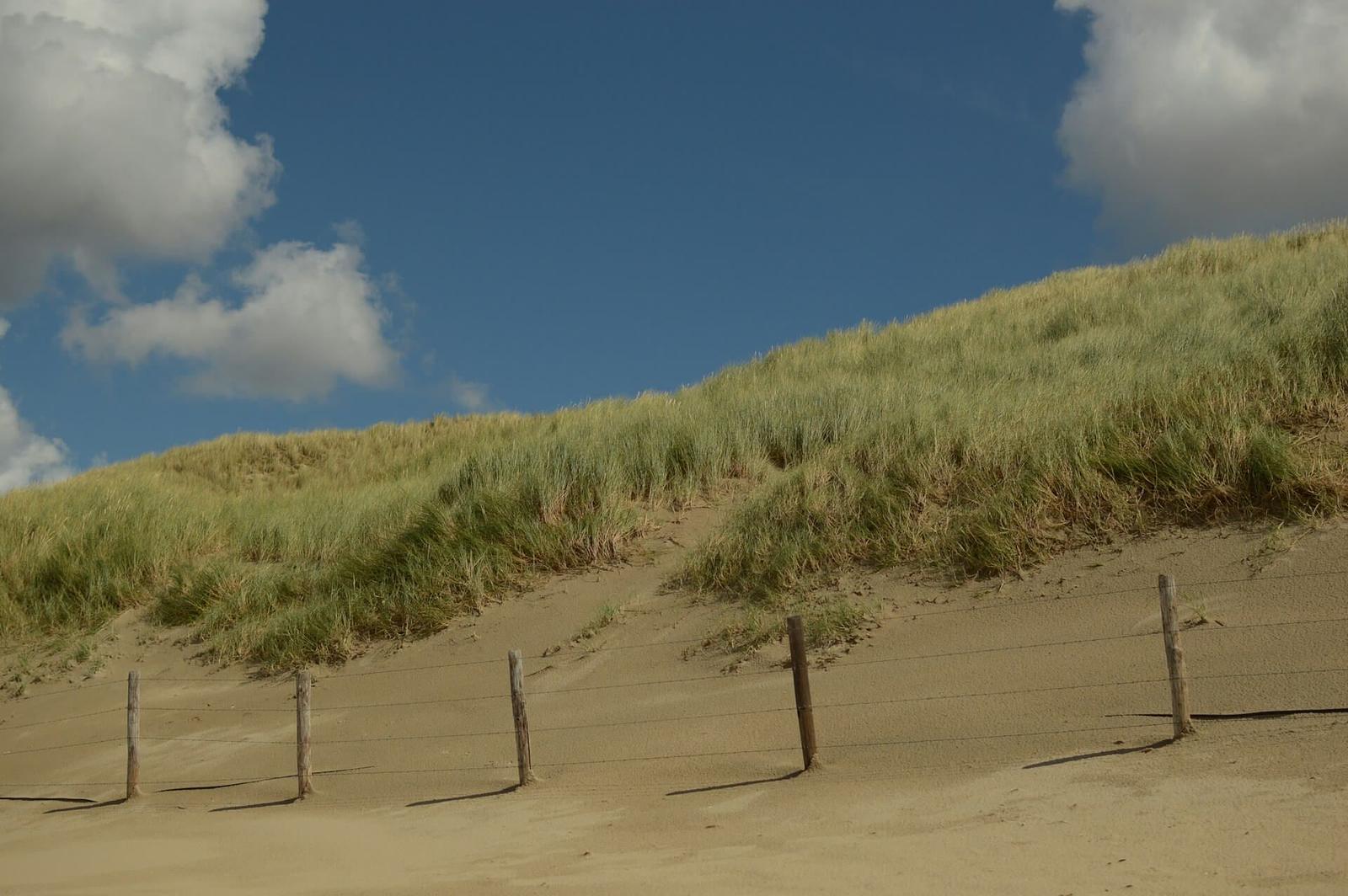 zandvoort duinen