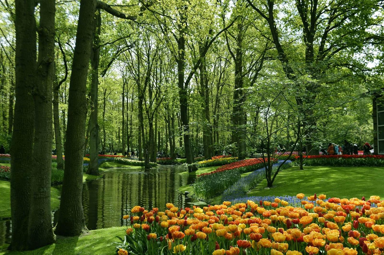 Tipps für einen Besuch im Keukenhof