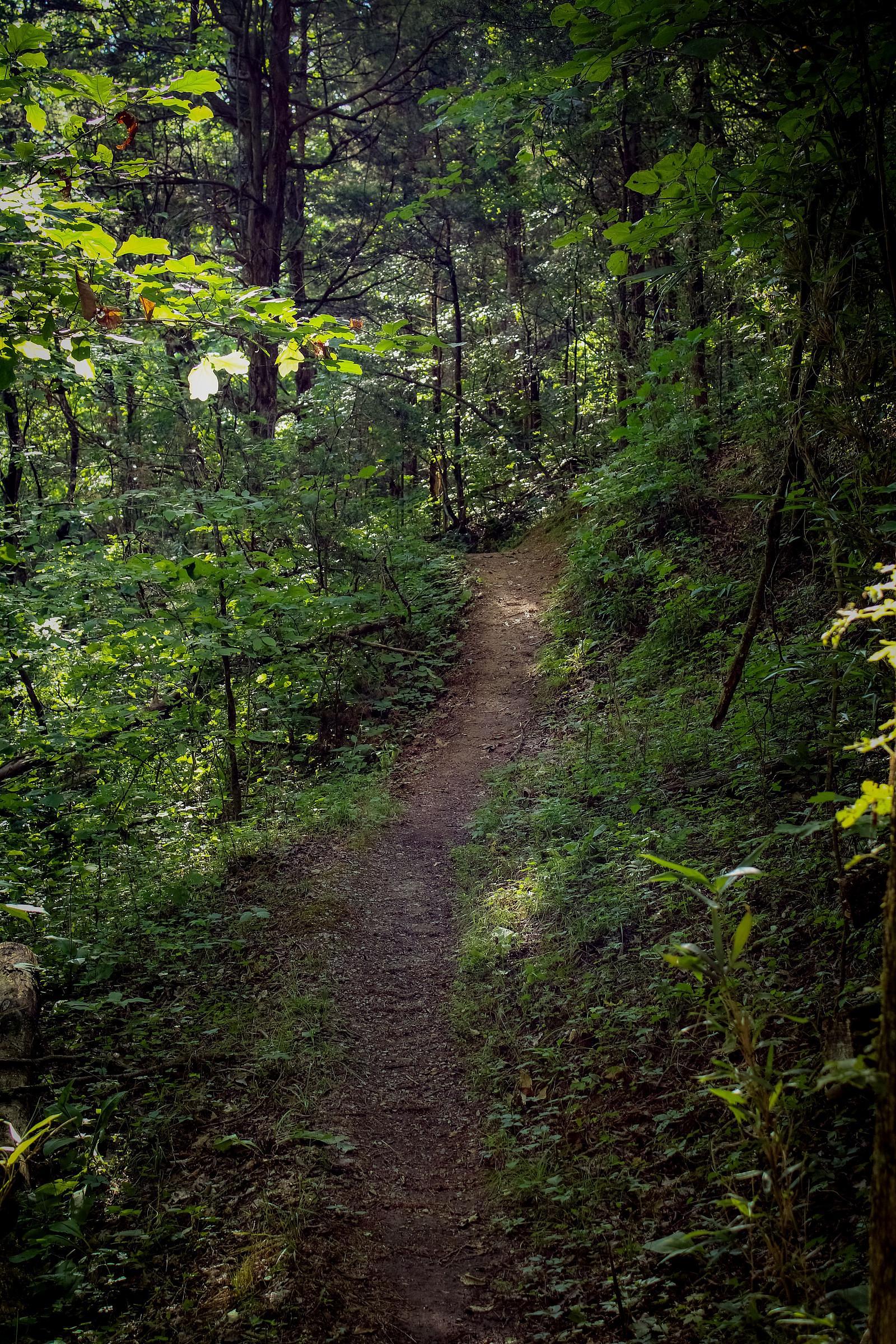 Top trail Lieteberg