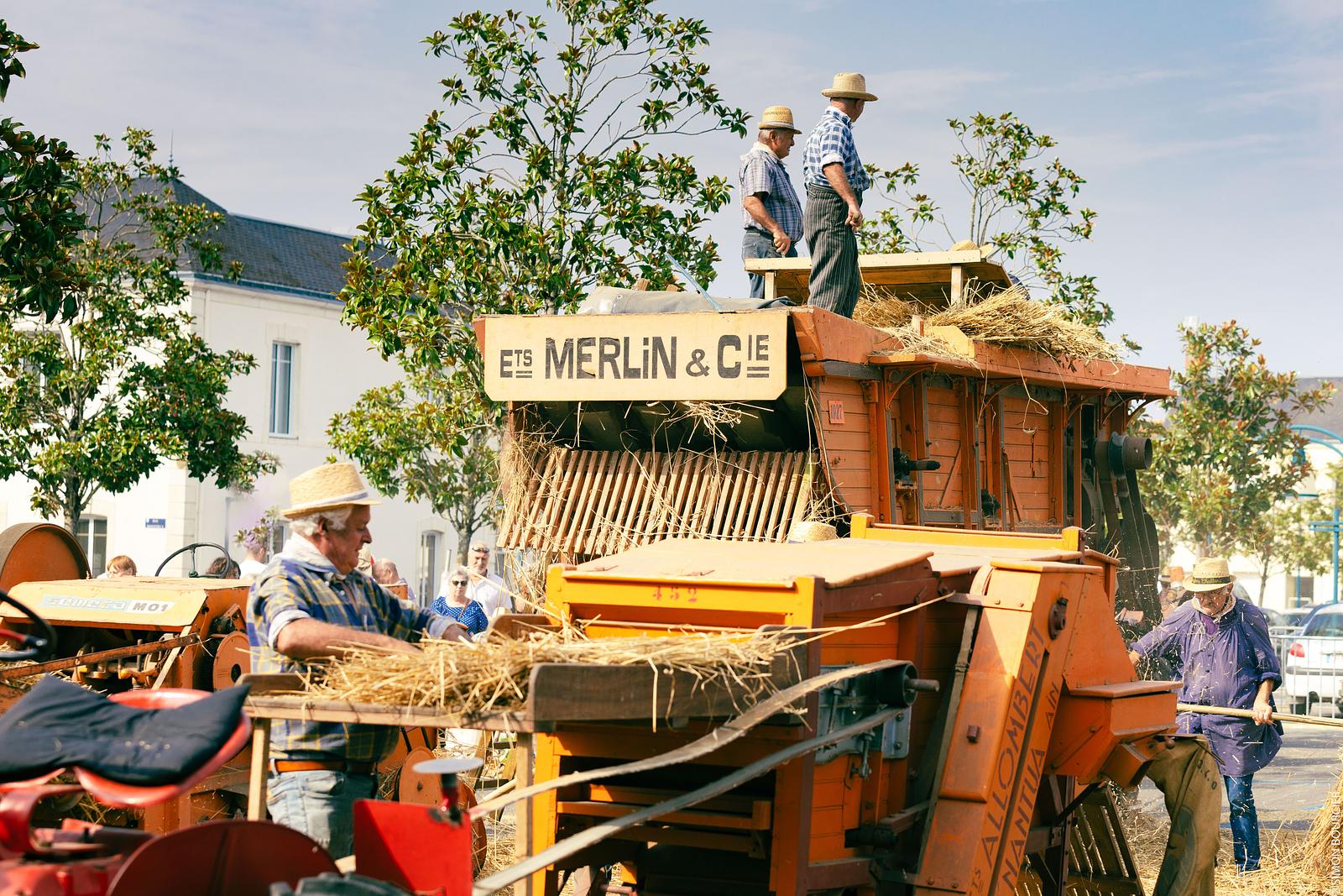locale feestelijkheden en markten