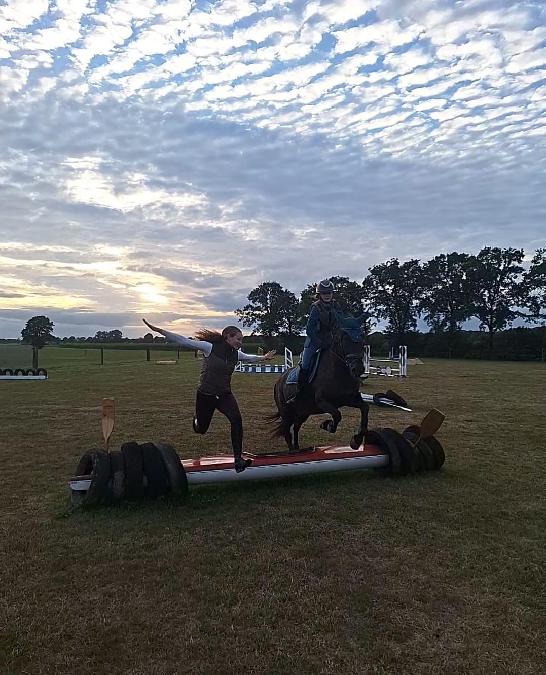 paarden