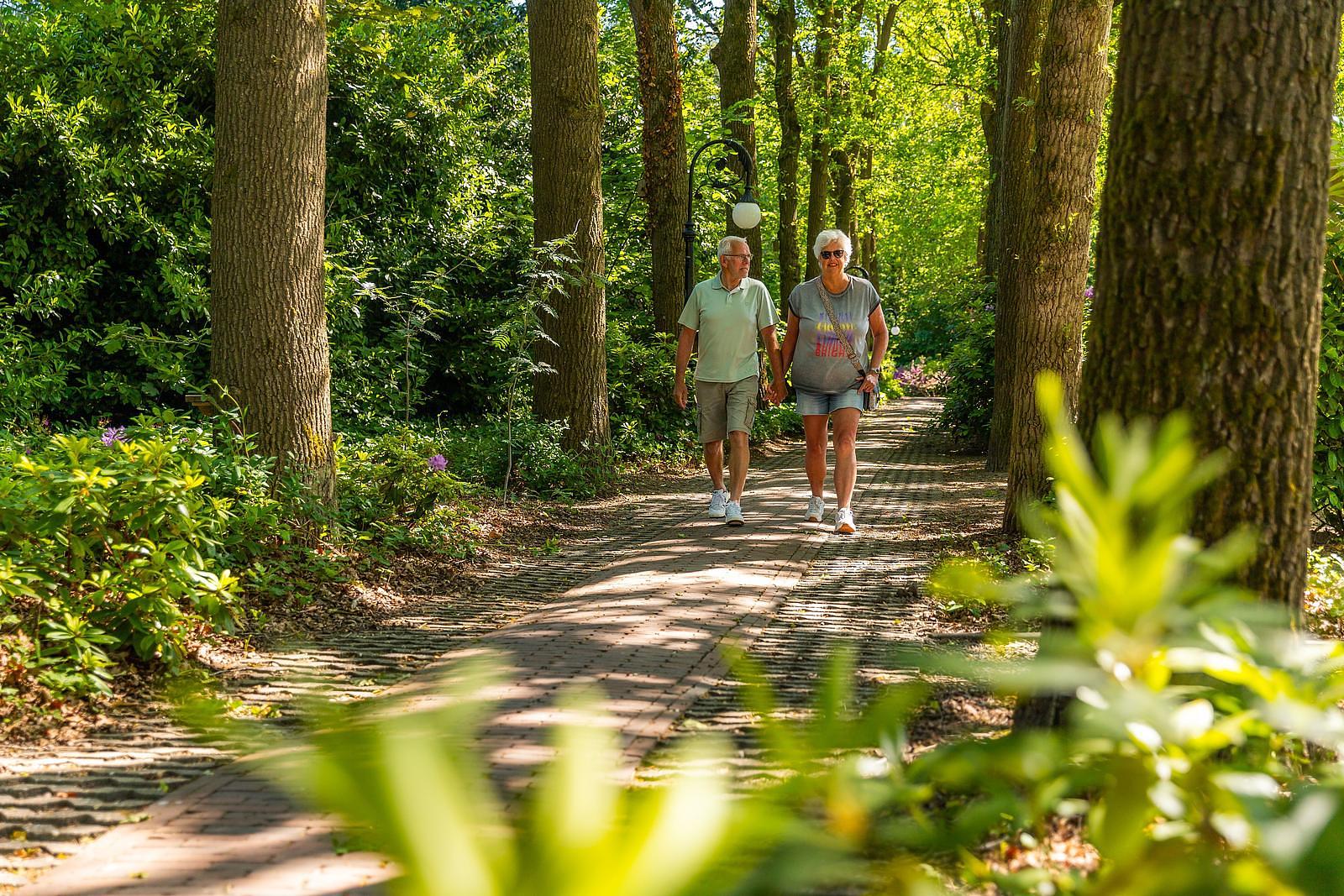 Vakantiepark EuroParcs Brunssummerheide