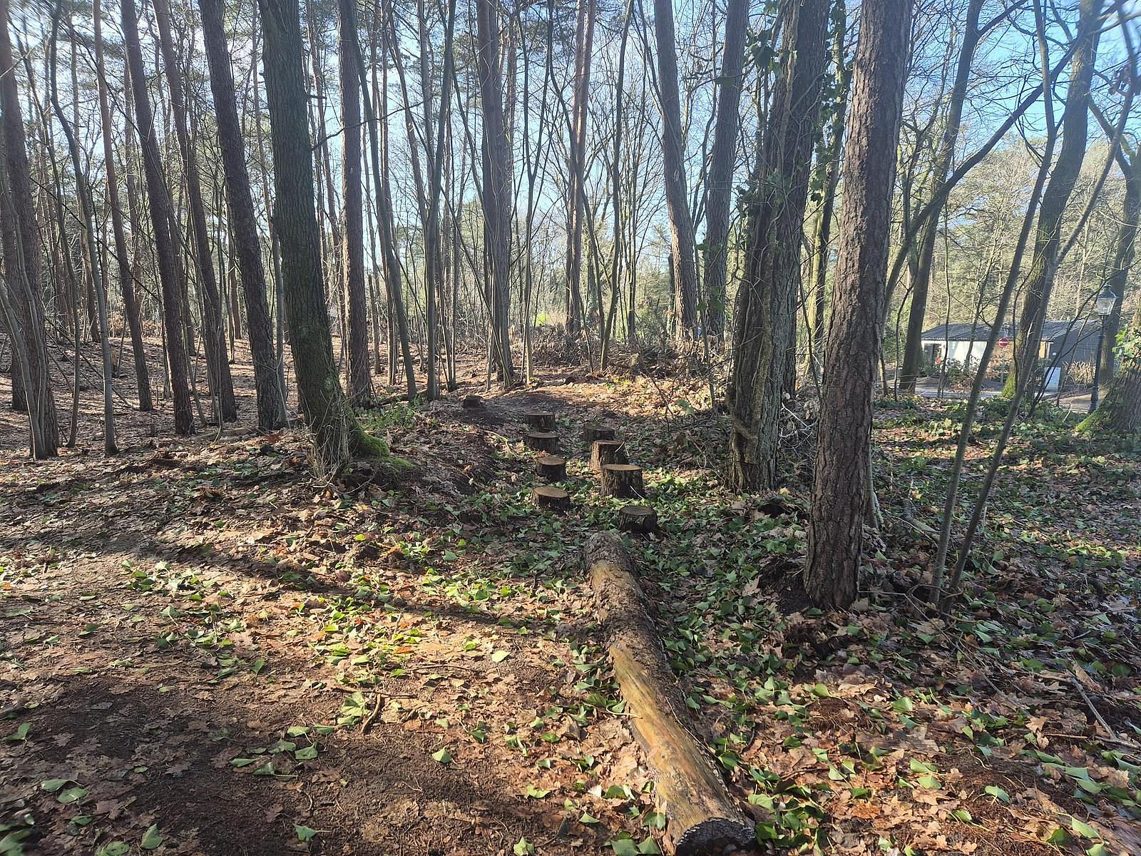 Speelbos EuroParcs De Utrechtse Heuvelrug