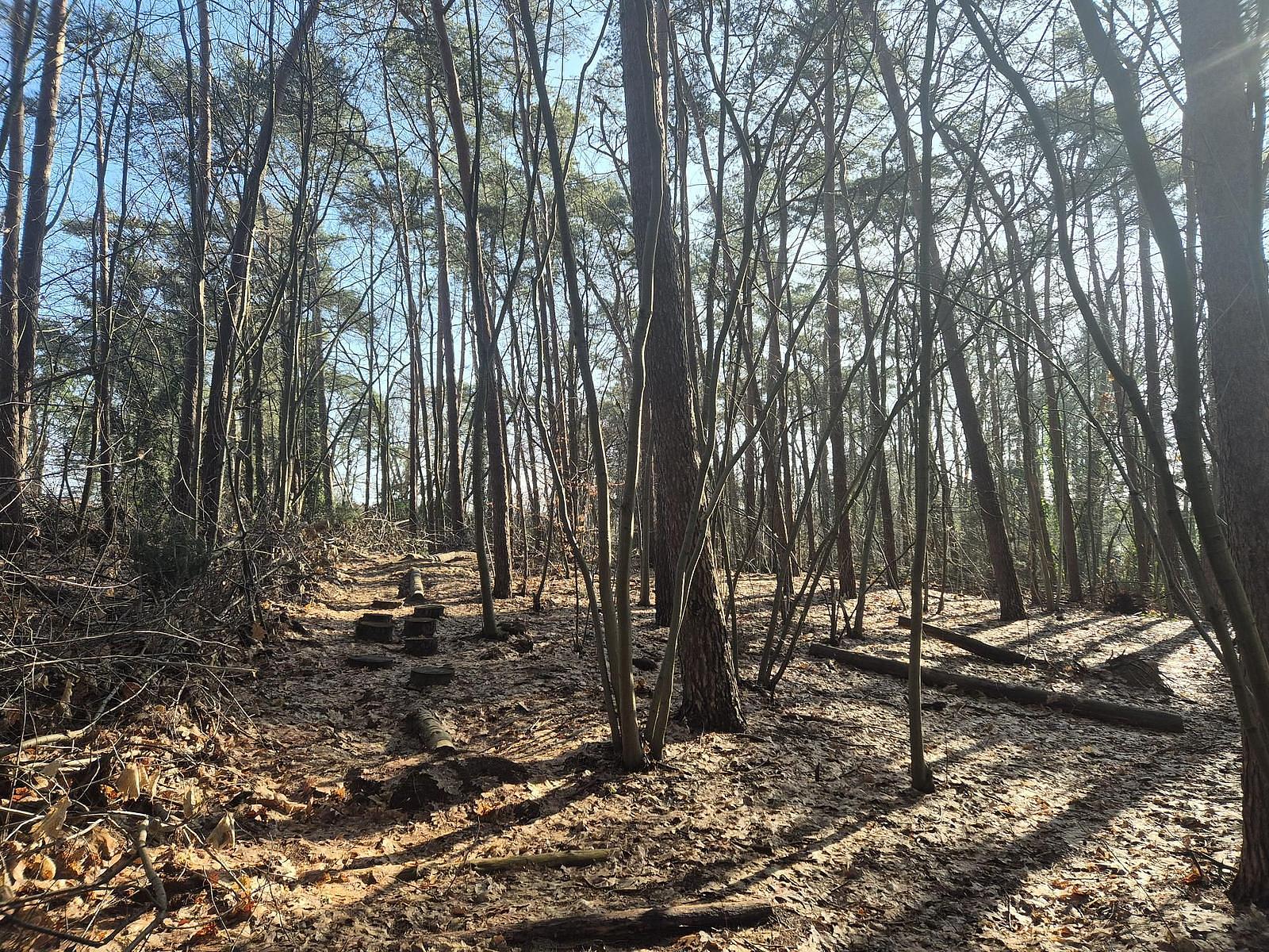 Speelbos EuroParcs De Utrechtse Heuvelrug