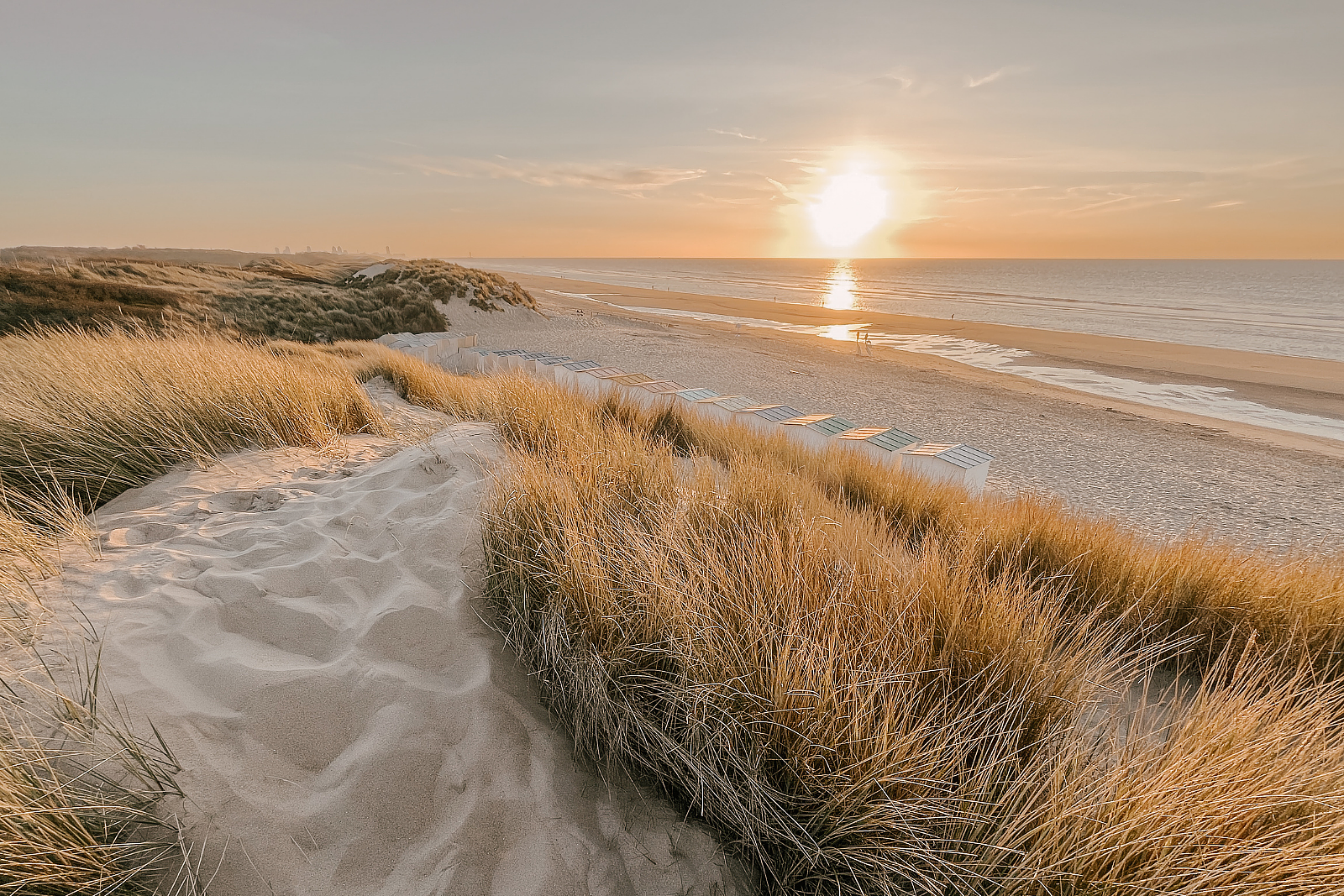 Vakantiehuis aan zee - NoordHolland