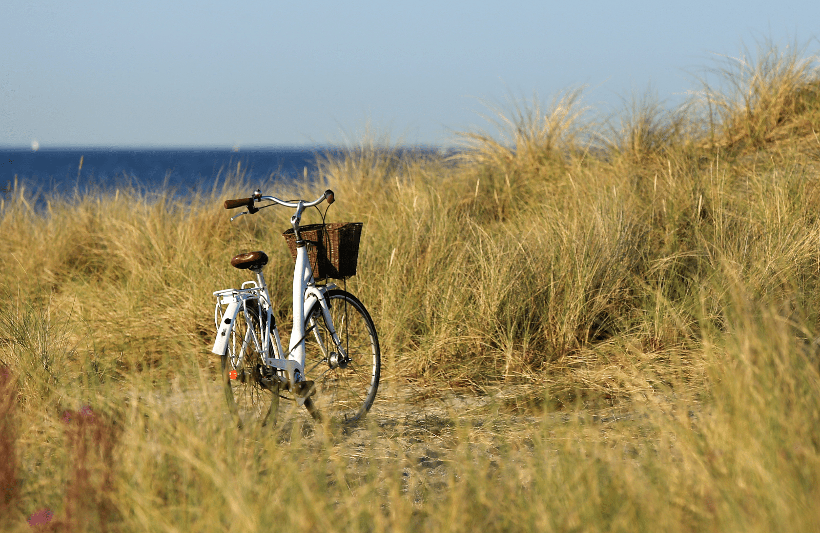 Radfahren durch die Dünen bei Egmond aan Zee