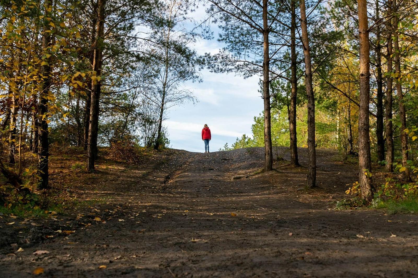 prachtige wandeling de kempen