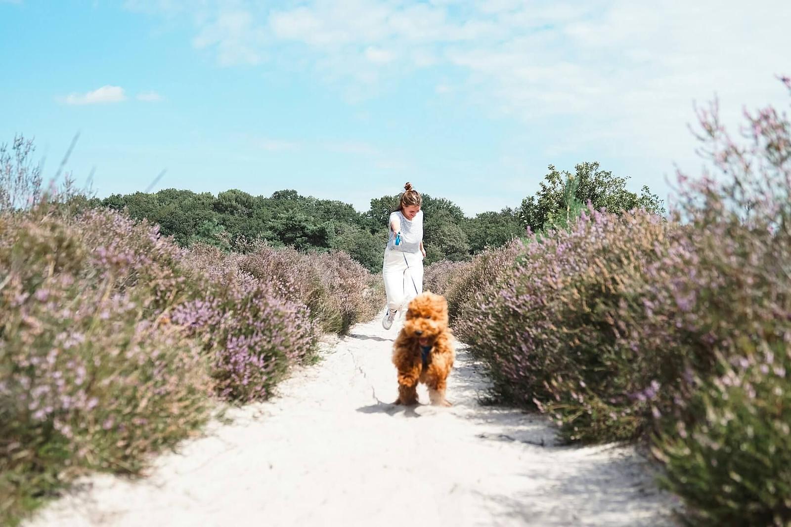 een vrouw wandelt met haar hond in de kempen belgie