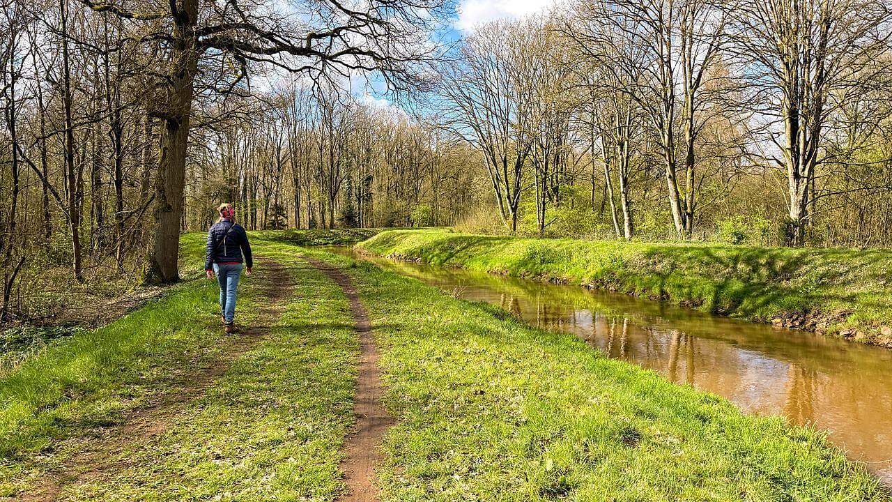 mooie hike en wandeling in de kempen belgie