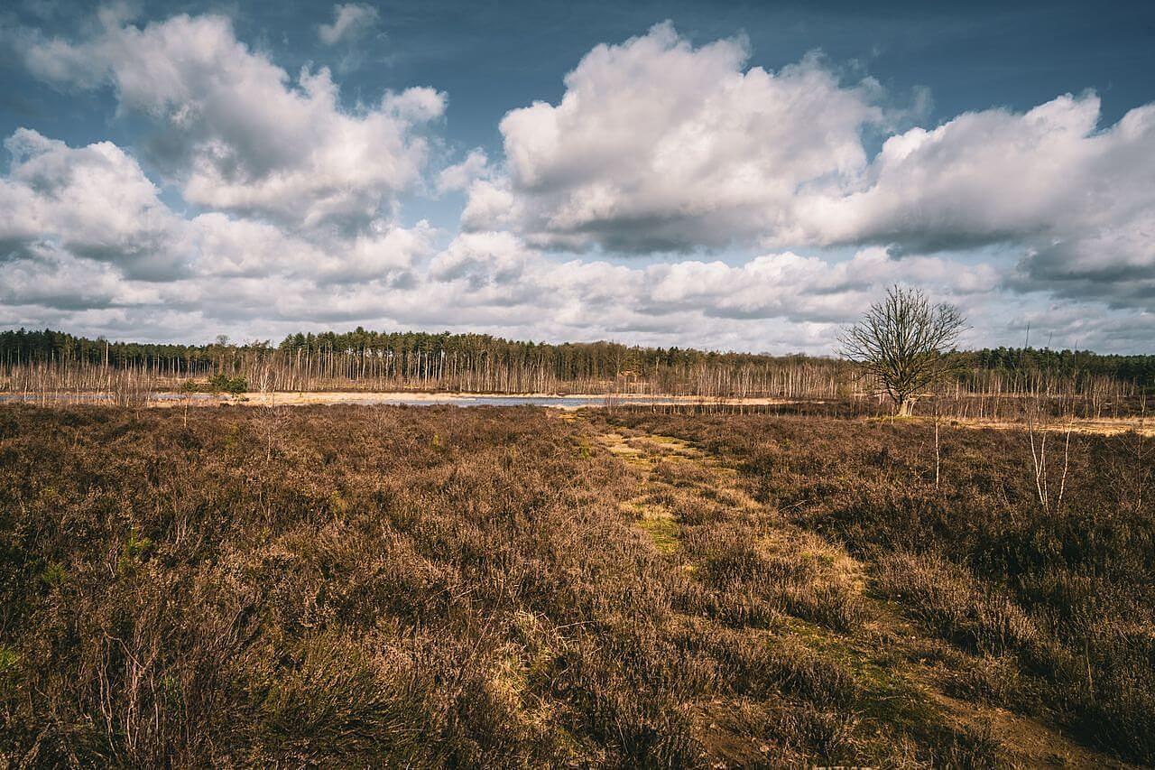 wandeling nabij camping het veen en camping kempen belgie floreal