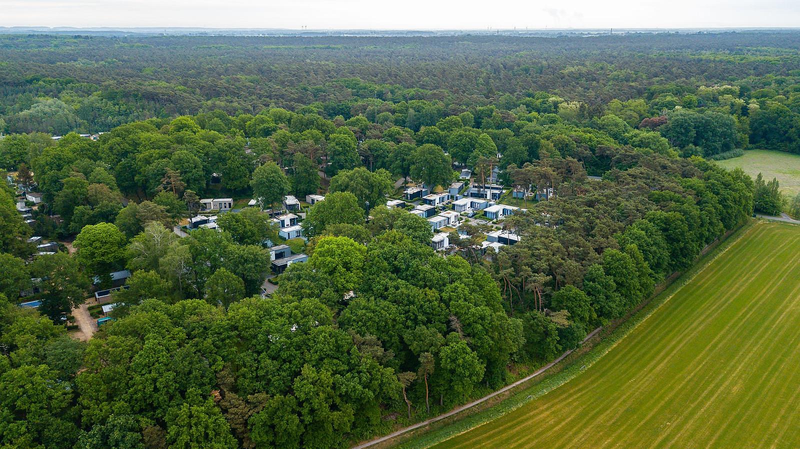 surroundings maasduinen