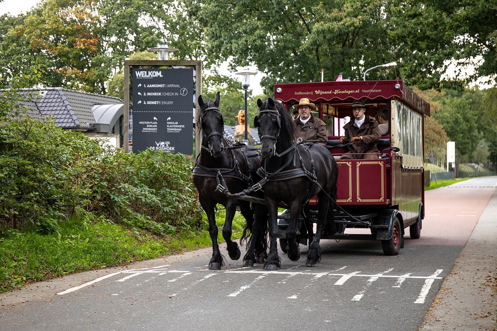 Huifkartocht op de Veluwe