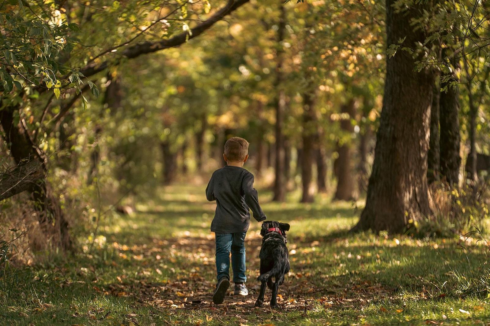 Vakantie met hond in Friesland