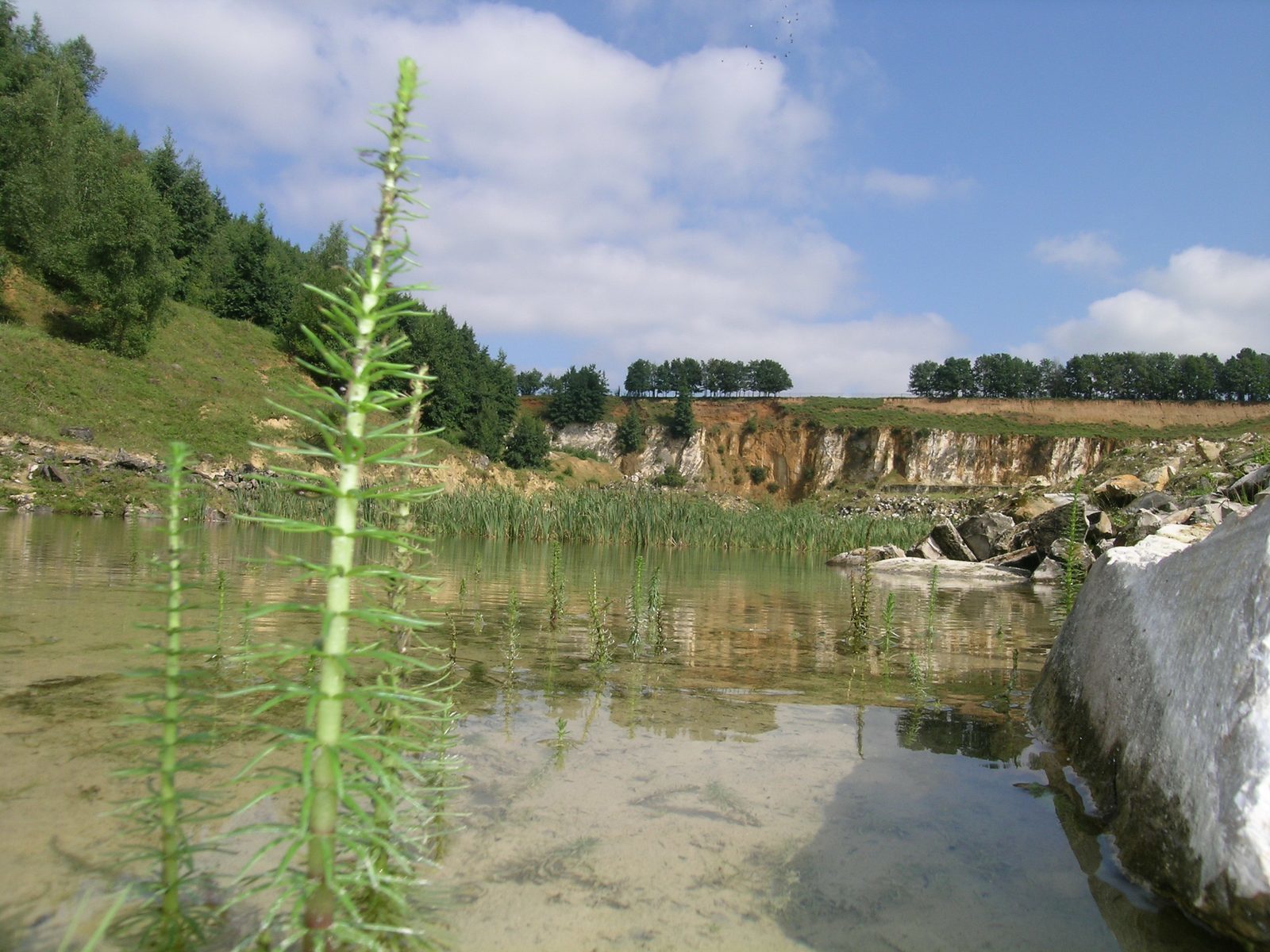 Marl Quarry 't Rooth