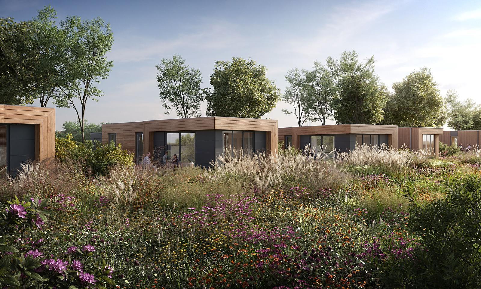 4-persoons Parklodge