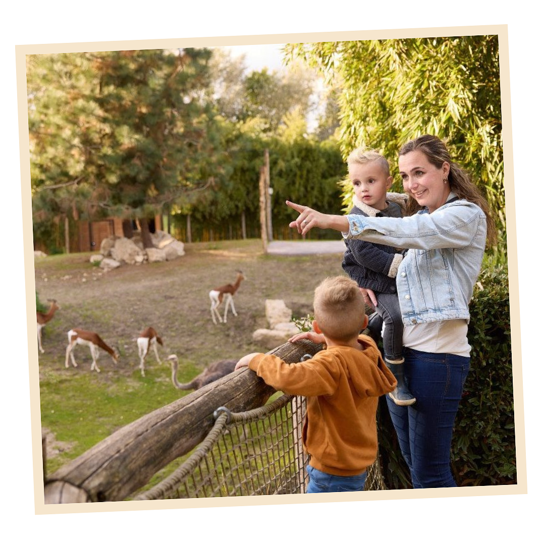 Zooparc