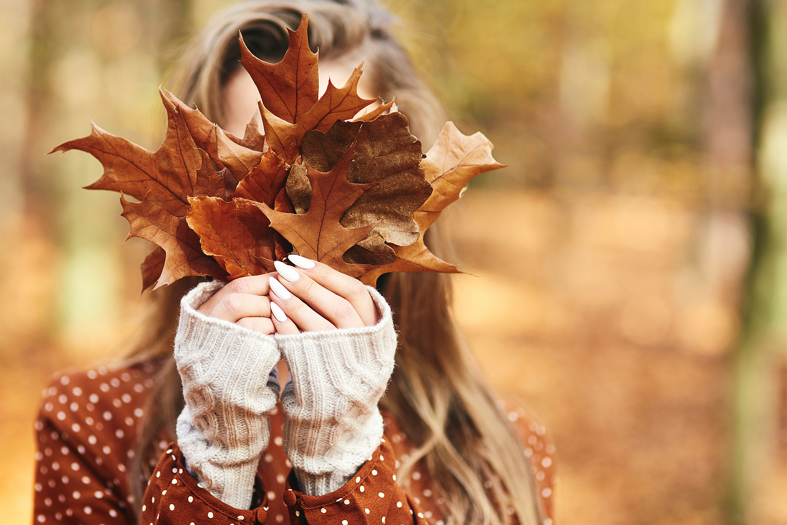 Herfstdeals Callinghe | Vakantiehuizen aan Zee | NoordHolland | Herfstvakantie aan Zee