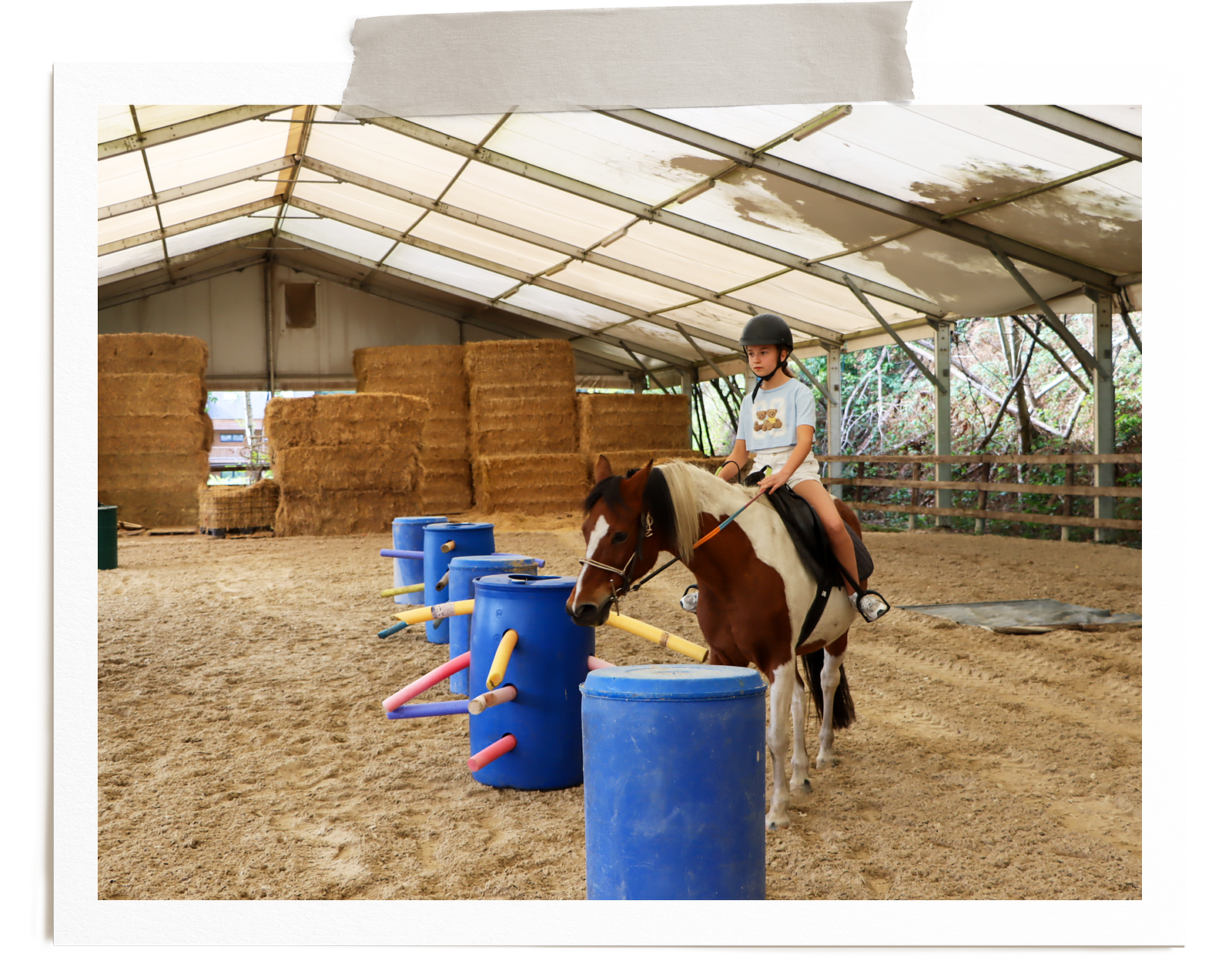 Pony adventure