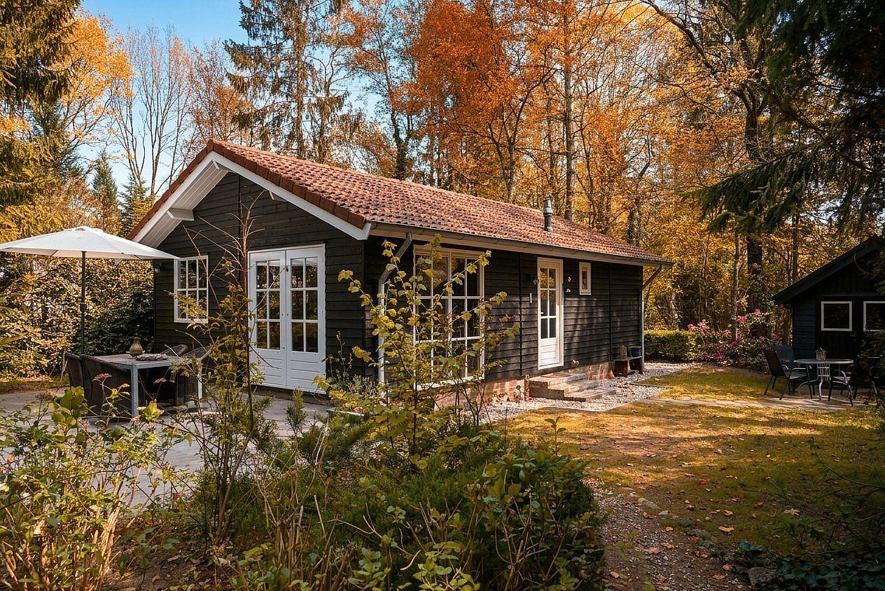 Vakantiehuis in het bos in herfstkleuren, Vakantiepark Drouwenerzand