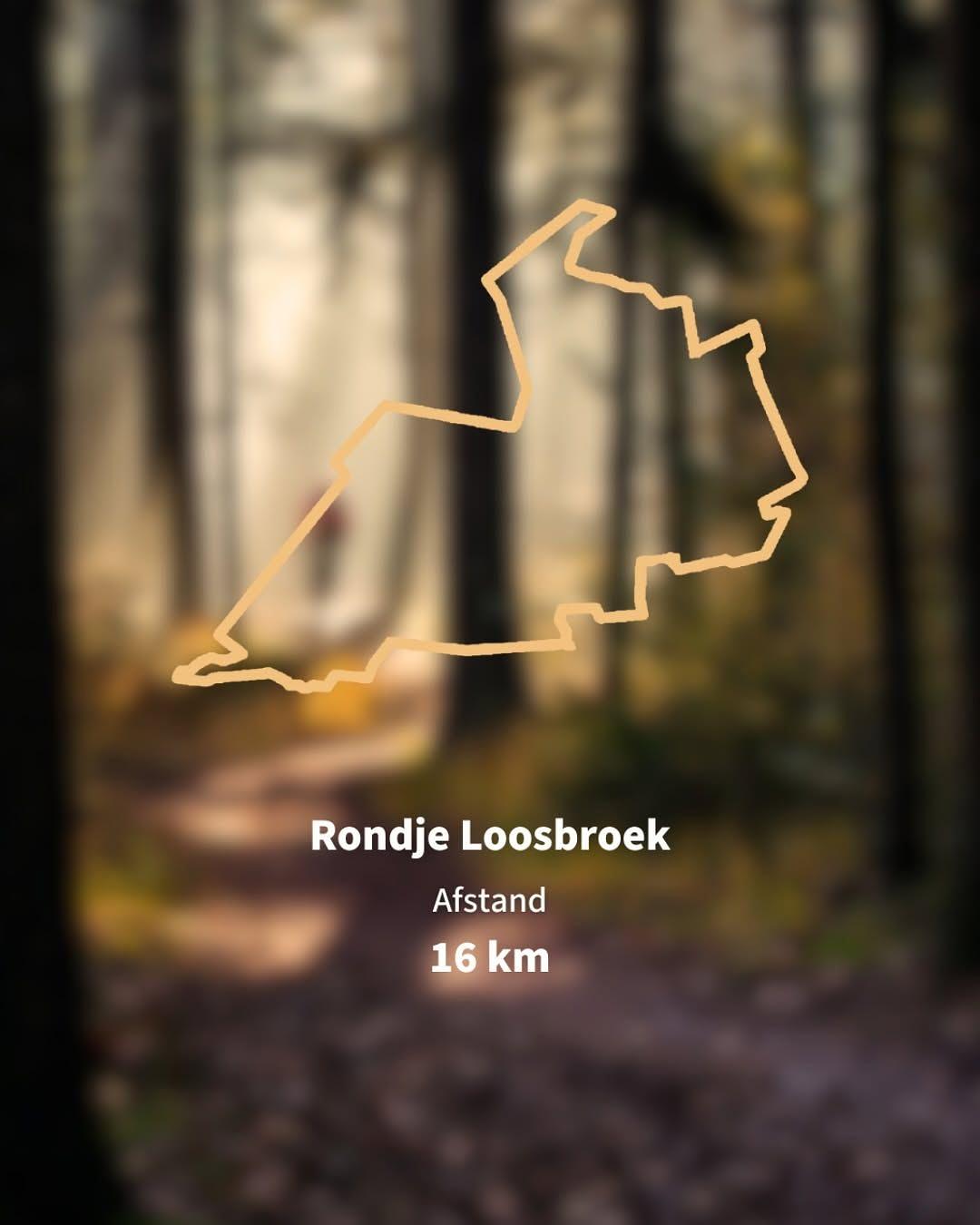 Een gevarieerde route met enkele heuvelruggen en veel singletracks