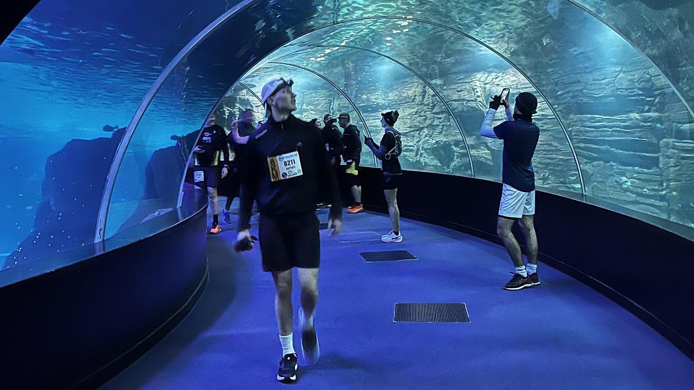 nausicaa urban trail boulogne sur mer