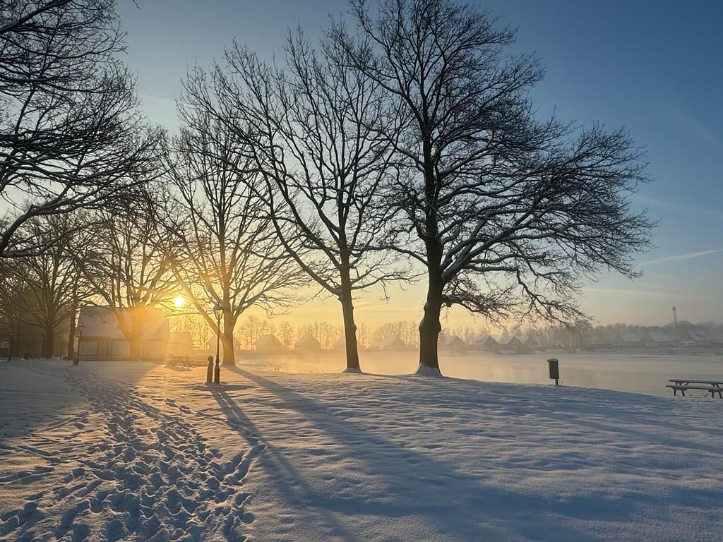 zonsopkomst in de sneeuw