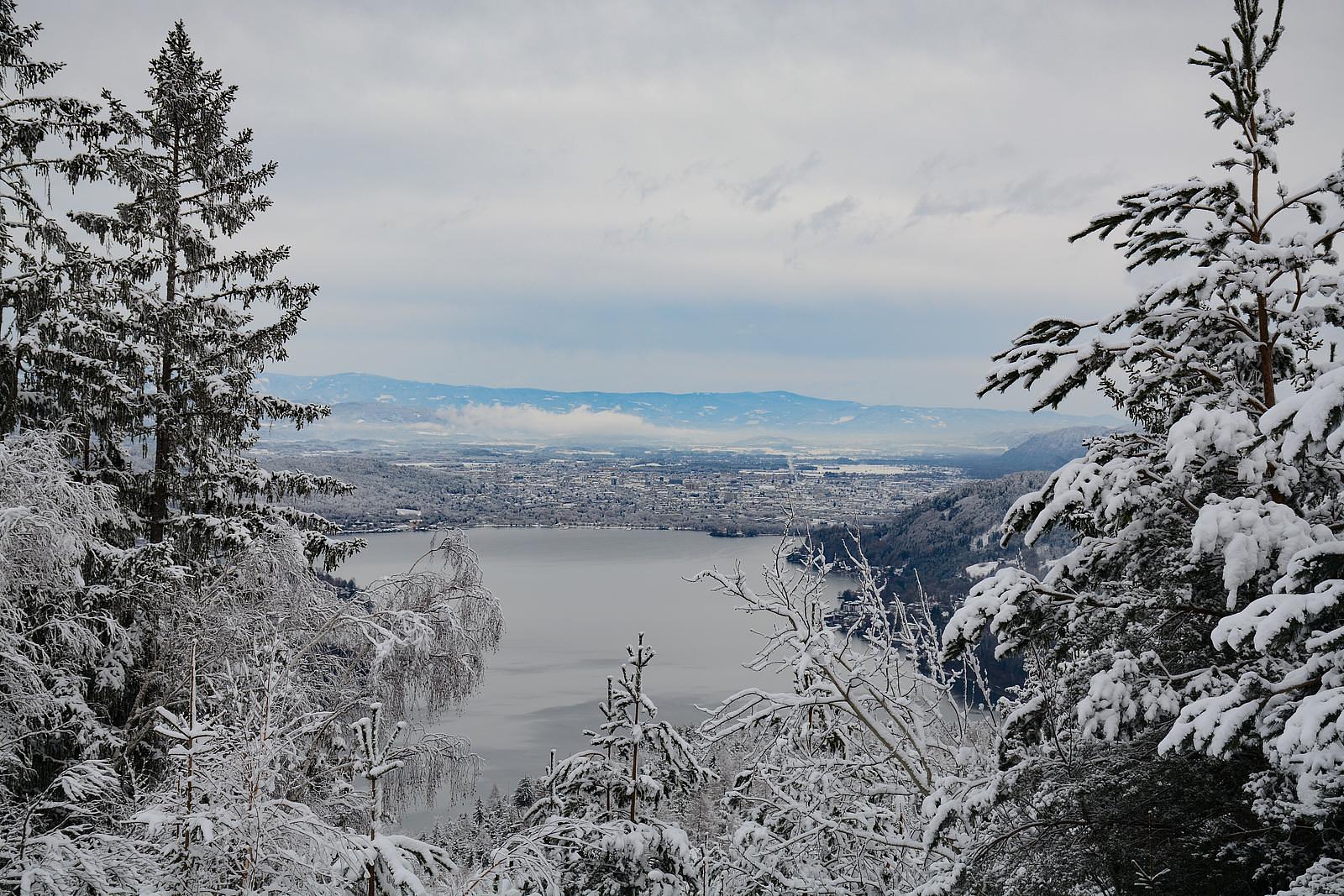Der winterliche Wörthersee, der bei einem Urlaub im Schnee von verschneiten Bäumen umgeben ist