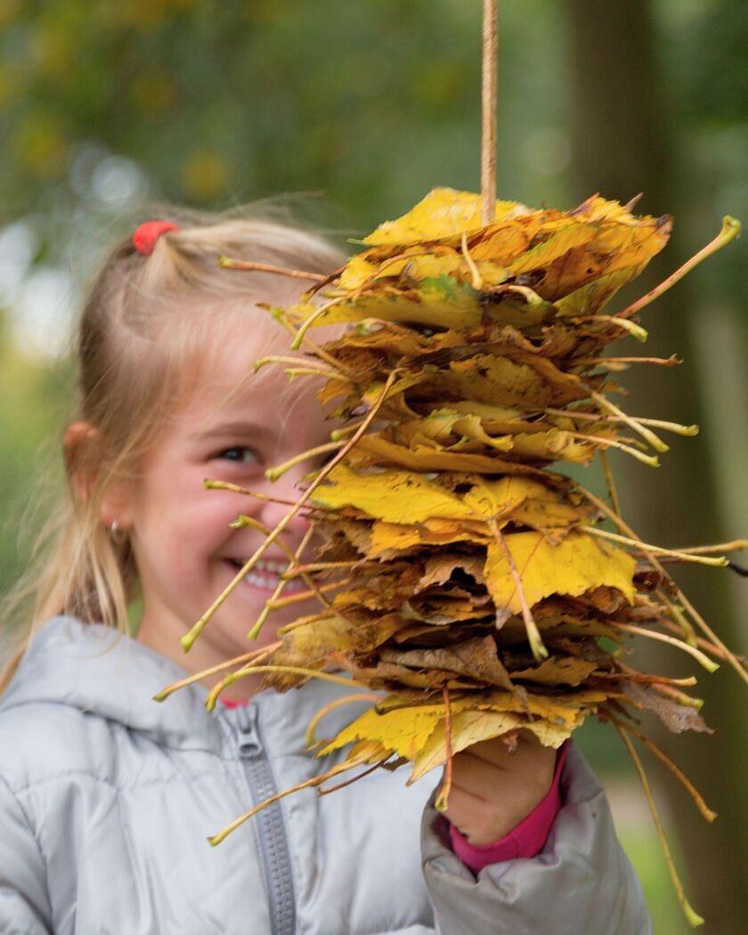 herfst in 't park