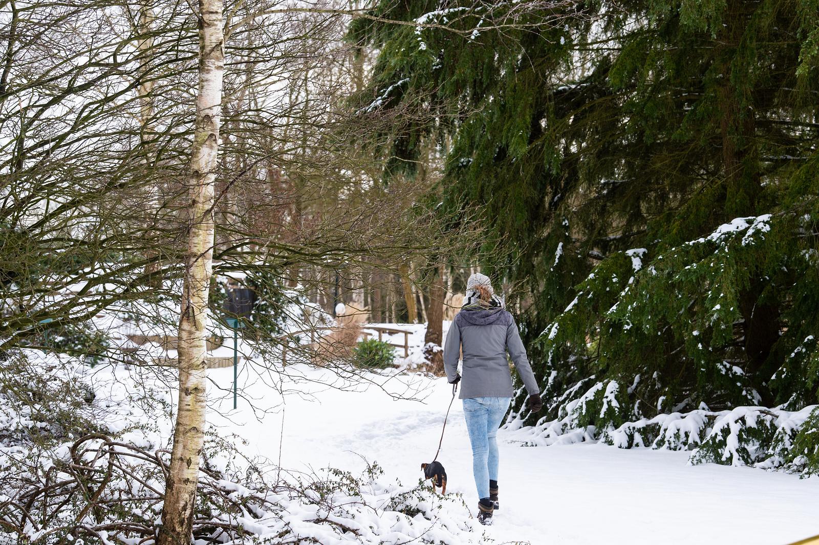 Winter im Park Drentheland