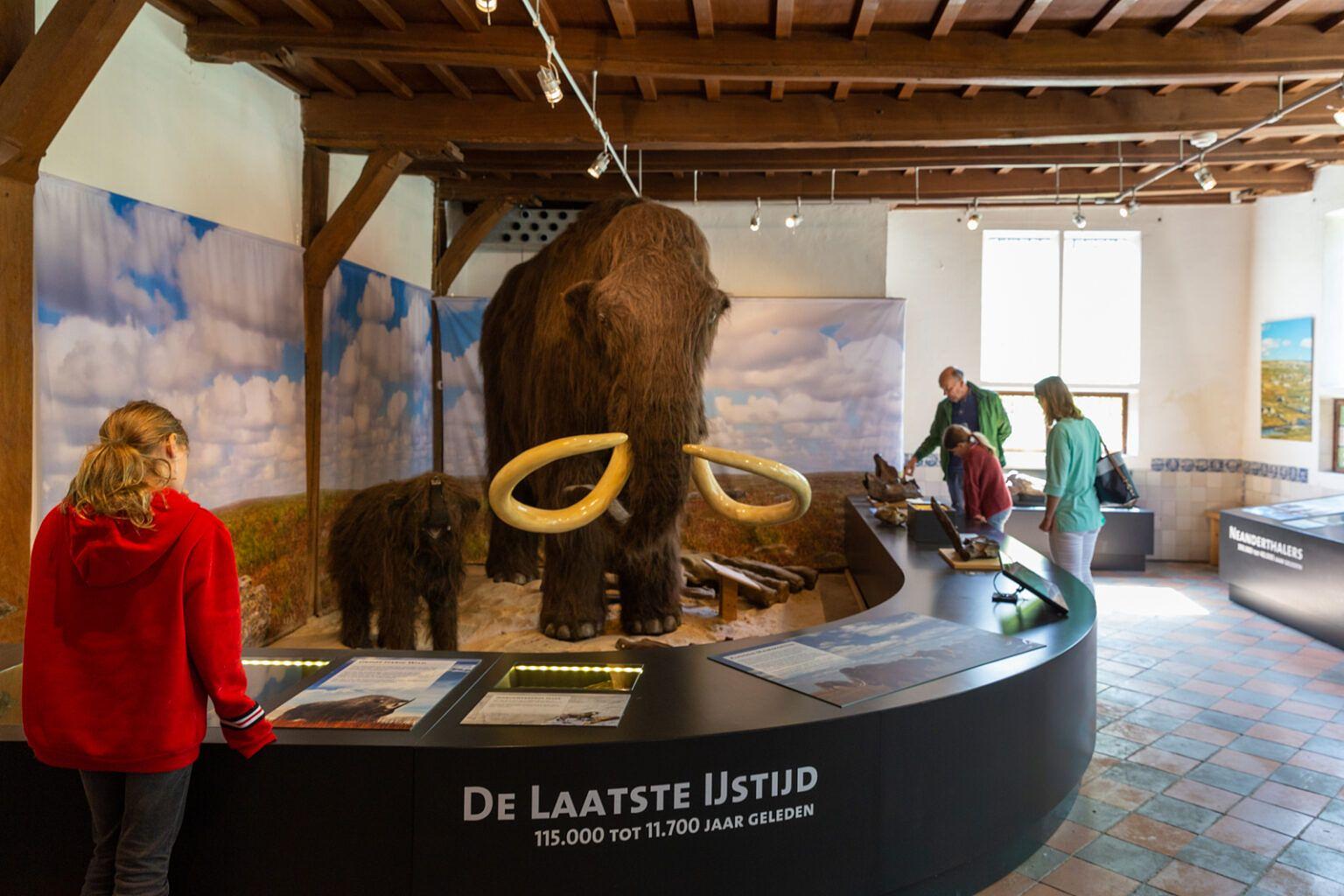 Aktivitäten in Drenthe